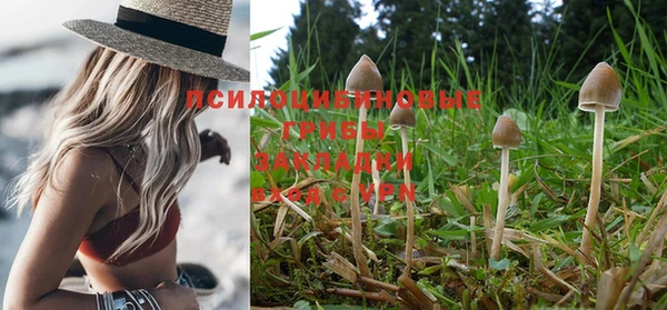 стаф Балахна