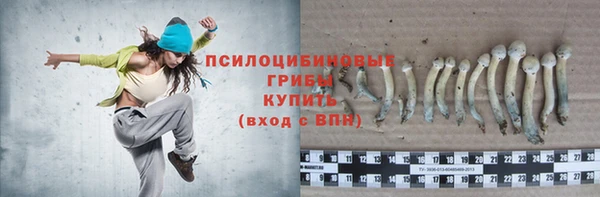 apvp Балабаново