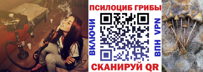 Псилоцибиновые грибы Magic Shrooms  Светлый 