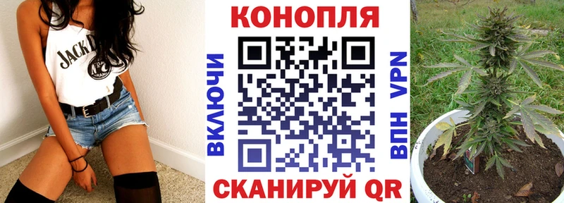где купить   Светлый  МАРИХУАНА сатива 